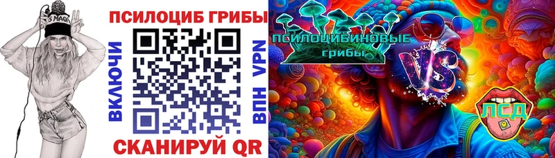 Псилоцибиновые грибы Psilocybine cubensis KRAKEN как зайти Первомайск